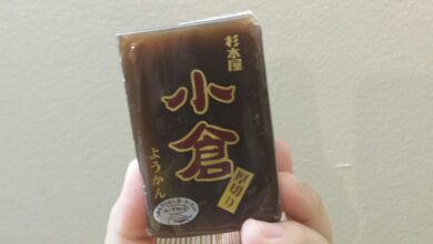 Yokan - Red Bean Jelly