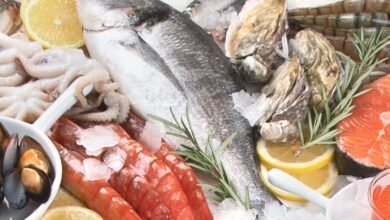 A concentração de restaurantes em Salvador, combinada com a crescente procura por experiências gastronômicas autênticas, torna este inventário de 500 empresas um recurso valioso para pesquisa, planejamento de viagens e, principalmente, para a promoção do setor alimentício na cidade