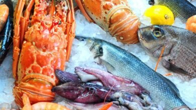 10 Melhores de Alta Gastronomia nos Jardins para Almoço de Negócios em São Paulo