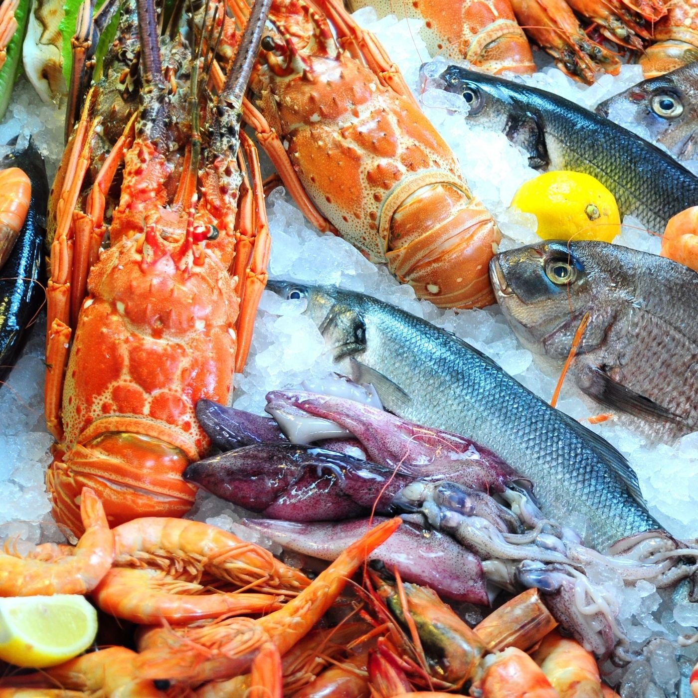 10 Melhores de Alta Gastronomia nos Jardins para Almoço de Negócios em São Paulo